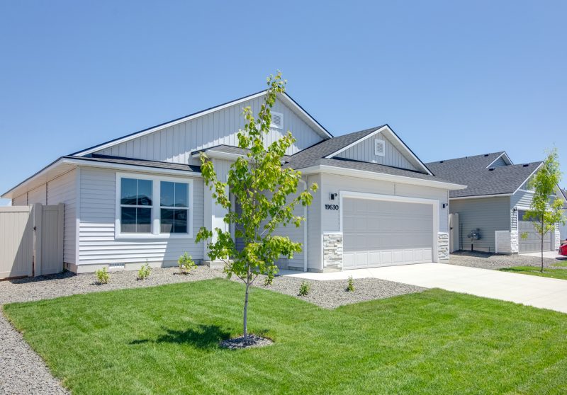 Image of Saddleback